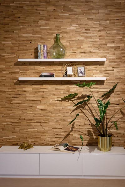 Koka sienas dizains dzīvojamā istaba