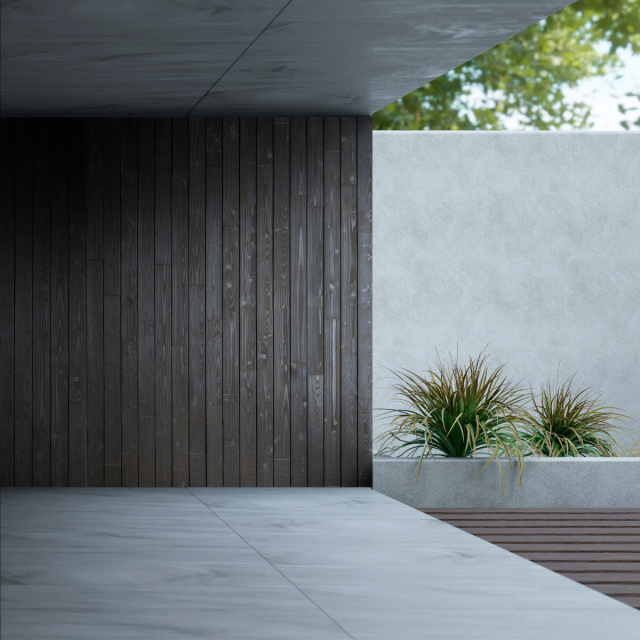 Wall Covering of Charred Wood Boards with T&G